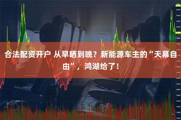 合法配资开户 从早晒到晚？新能源车主的“天幕自由”，鸿湖给了！